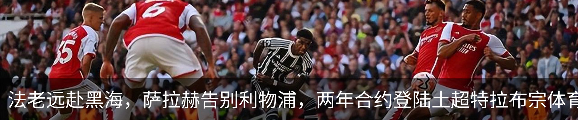 最新动态